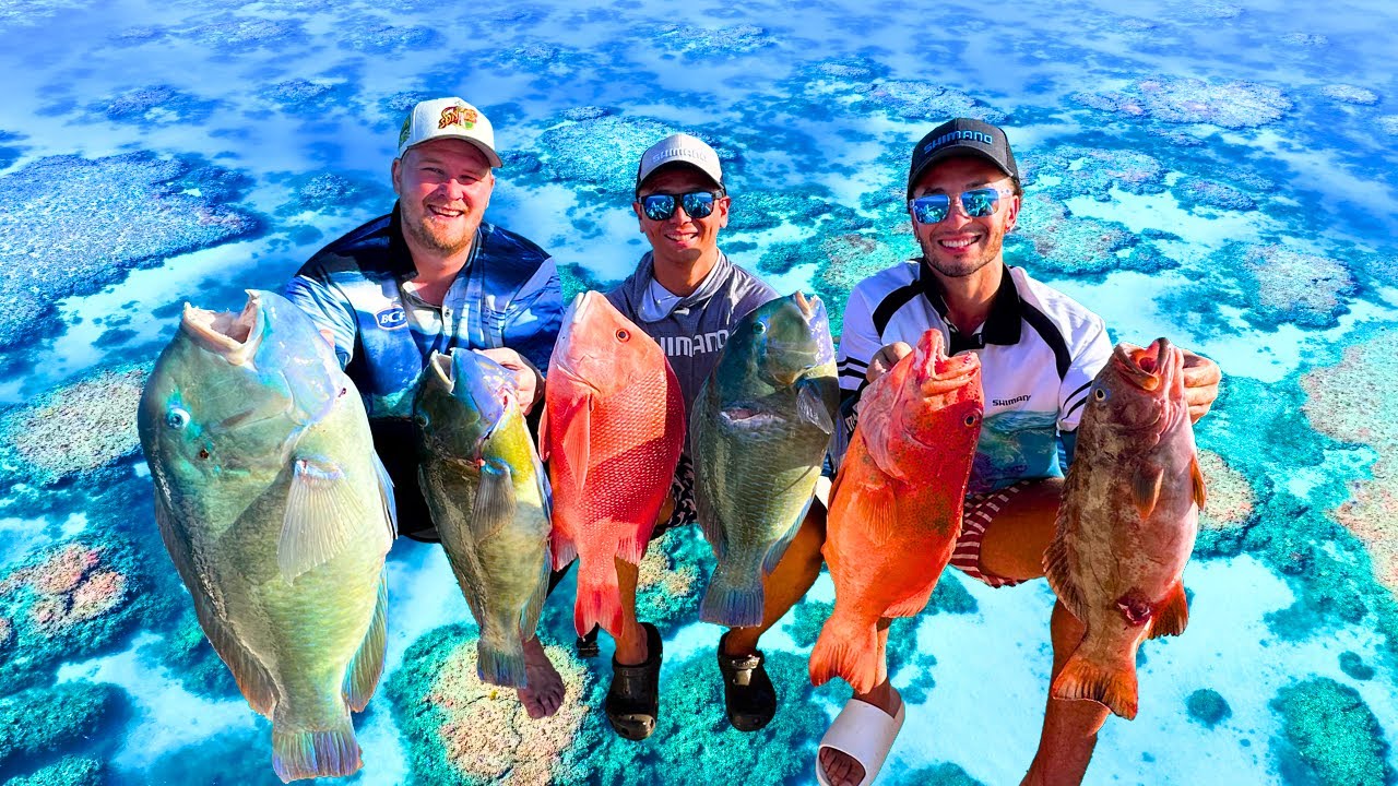 Fun Fishing Adventure With Mates on the Great Barrier Reef