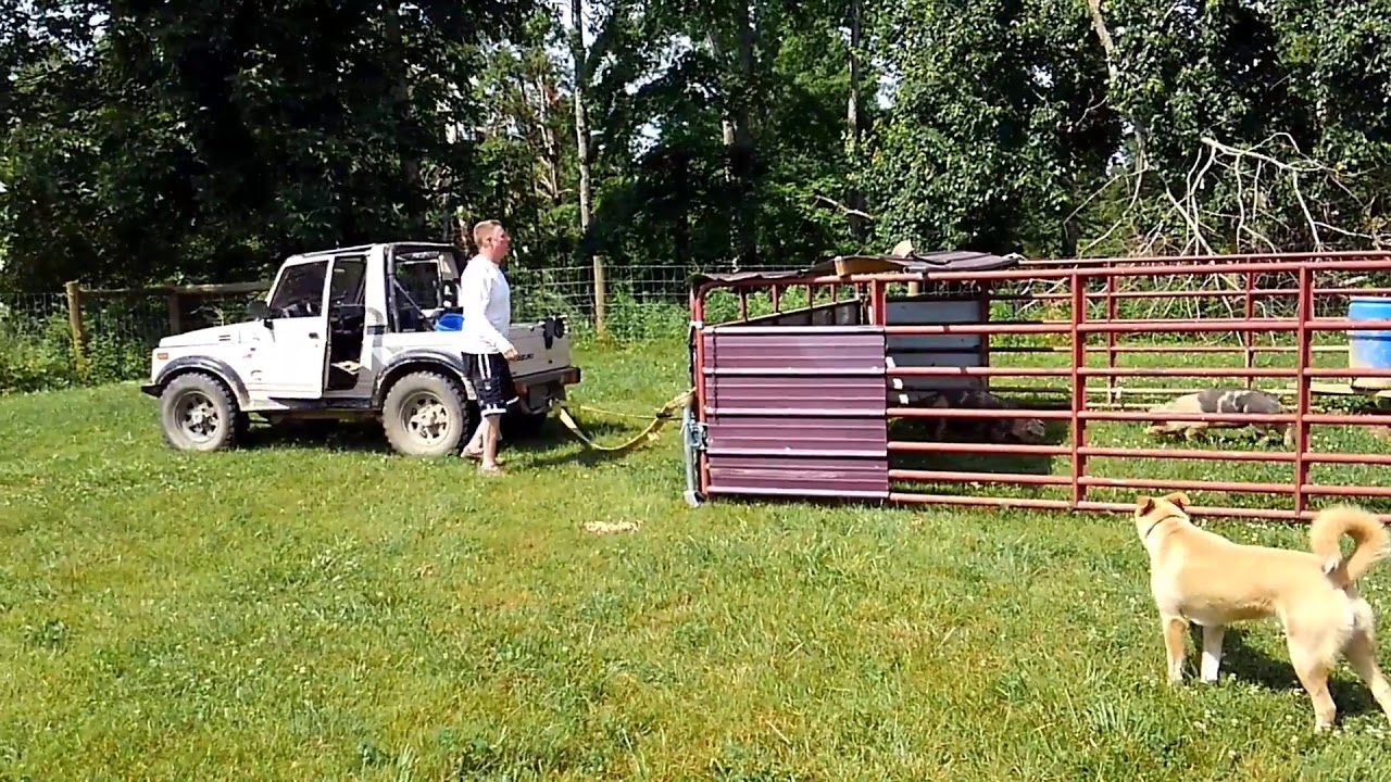 Pig Tractor