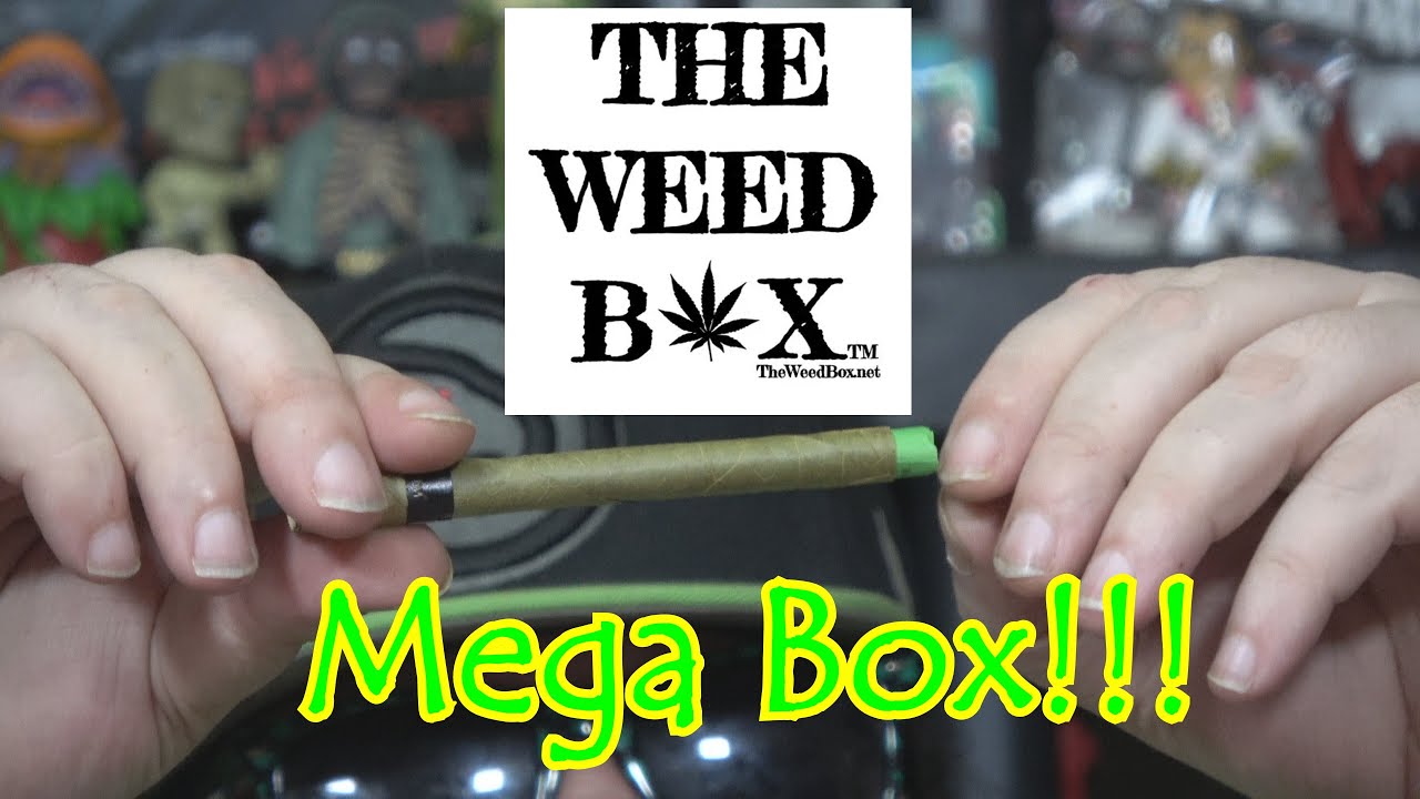 Unboxing The Weed Box Mega Box March 2020