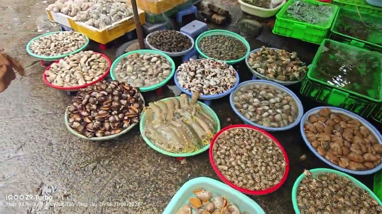 Ghé chợ hải sản Vũng Tàu ngày 11.9.2025