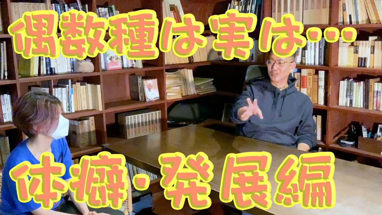 【体癖】実は偶数種は〇〇！体癖の基本をさらに解説！