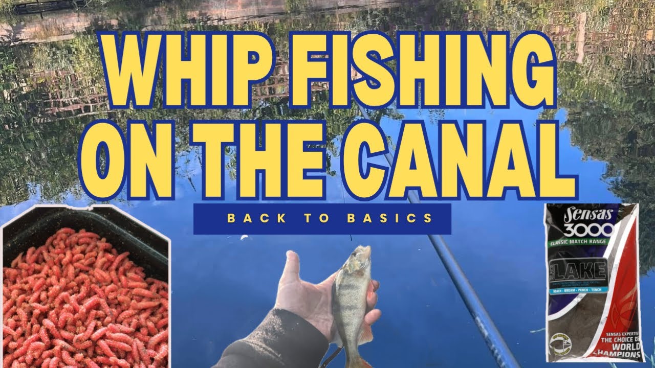 Whip Fishing on the Canal - Back To Basics - Easy Fishing - Birmingham Anglers Association