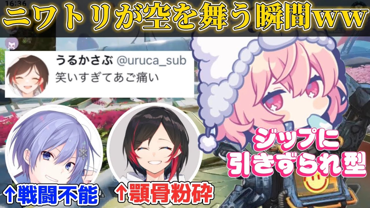 【APEX】今日も味方を大爆笑させ戦闘不能にしてしまうなるせのパスファインダー【うるか/白雪レイド/nqrse】