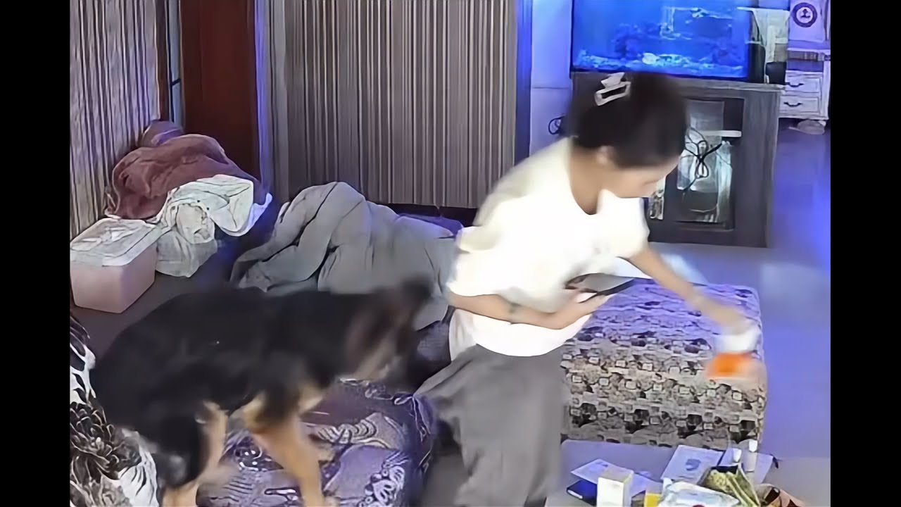 😂😁😆Laugh-Out-Loud: Best Funny & Fails Clips No. 15
