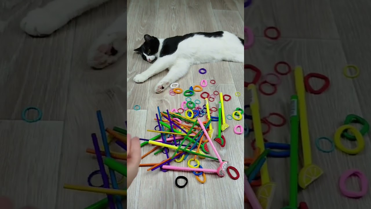 Funny Cats ❤🐱 Cube 🎲 Beads Reverse video