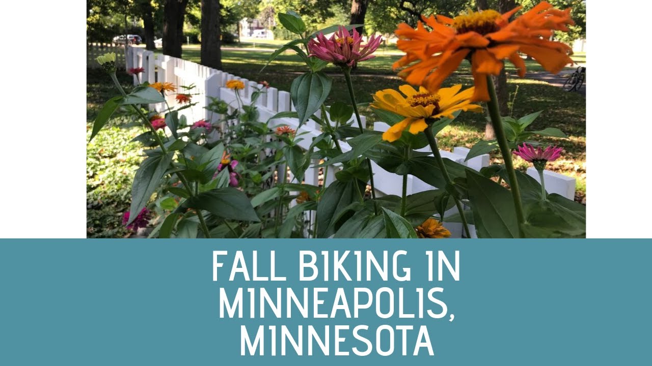 Fall in Minneapolis - Bikes, Bees & Birds