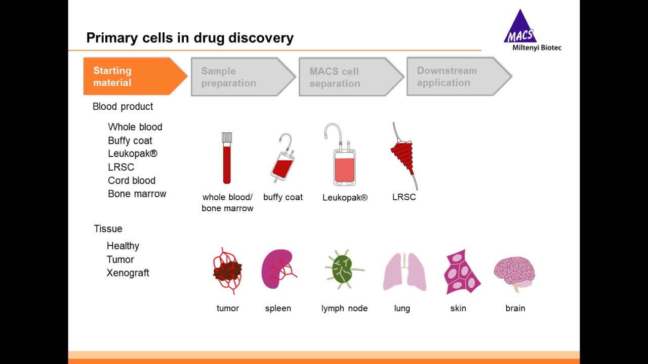 Automation Meets Cell Separation: Primary Cells for Drug Discovery Assays