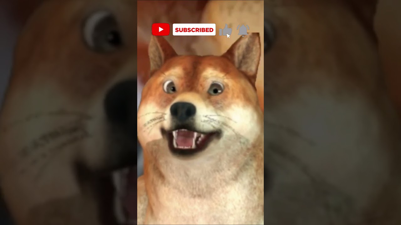 Reactionez La UN PRANK de la BogdanIBMFamily #shorts