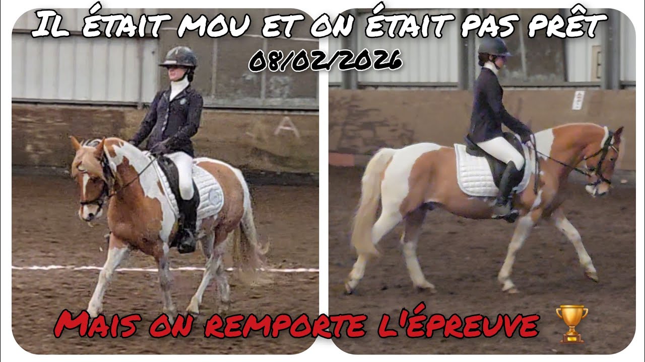 CONCOURS DE DRESSAGE : N1.6 ON REMPORTE L'ÉPREUVE EN 66,06%