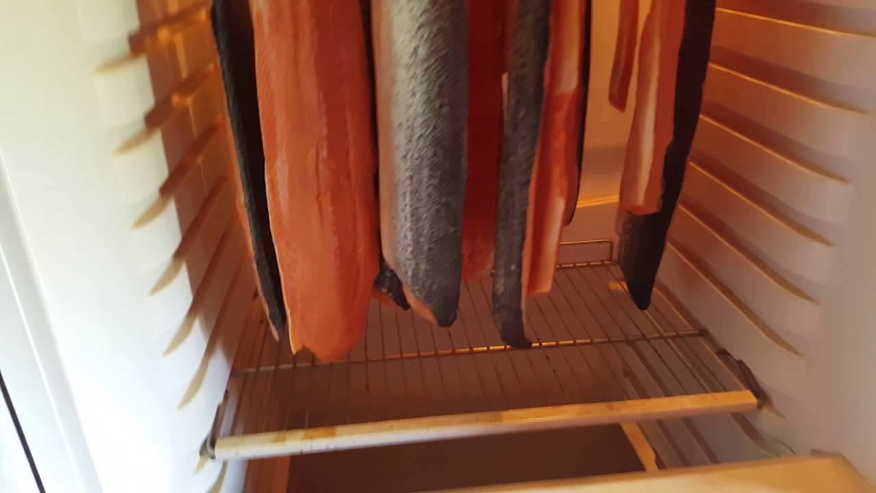 Kylmäsavustusta osa 3 Kalat valmiita vakumointi käsittelyyn