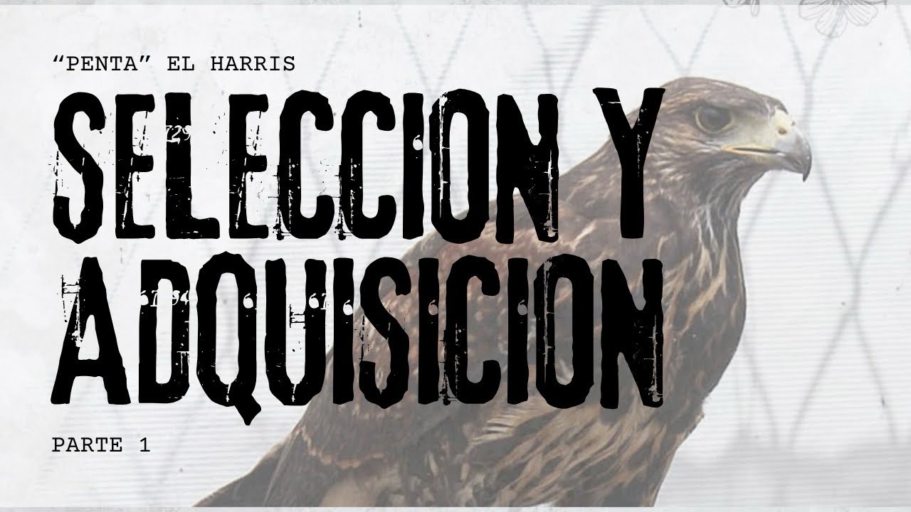 “Penta” El harris Pt. 1