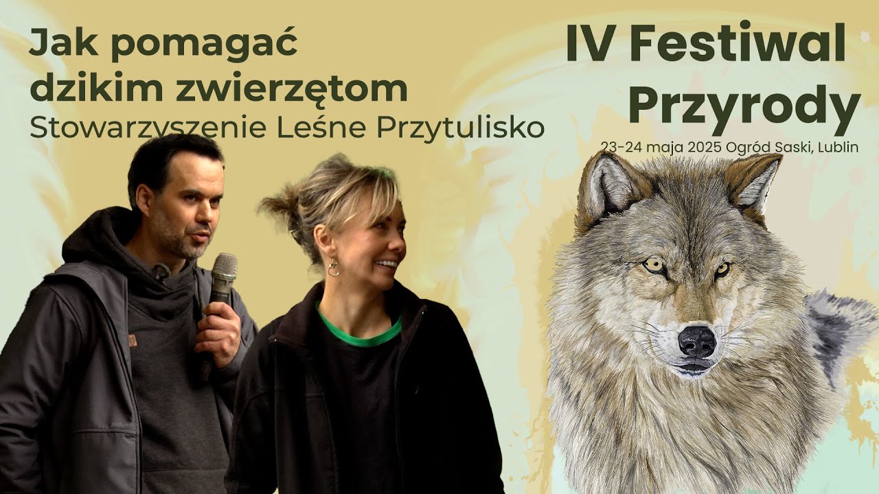 IV Festiwal Przyrody - Jak pomagać dzikim zwierzętom - Stowarzyszenie Leśne Przytulisko - skr. prel.