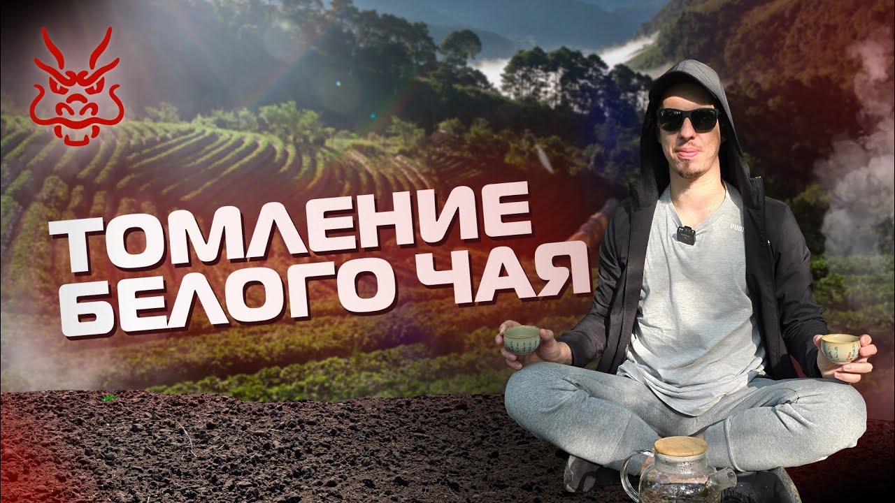 Как правильно приготовить белый чай: разоблачение варки по Лу Юю