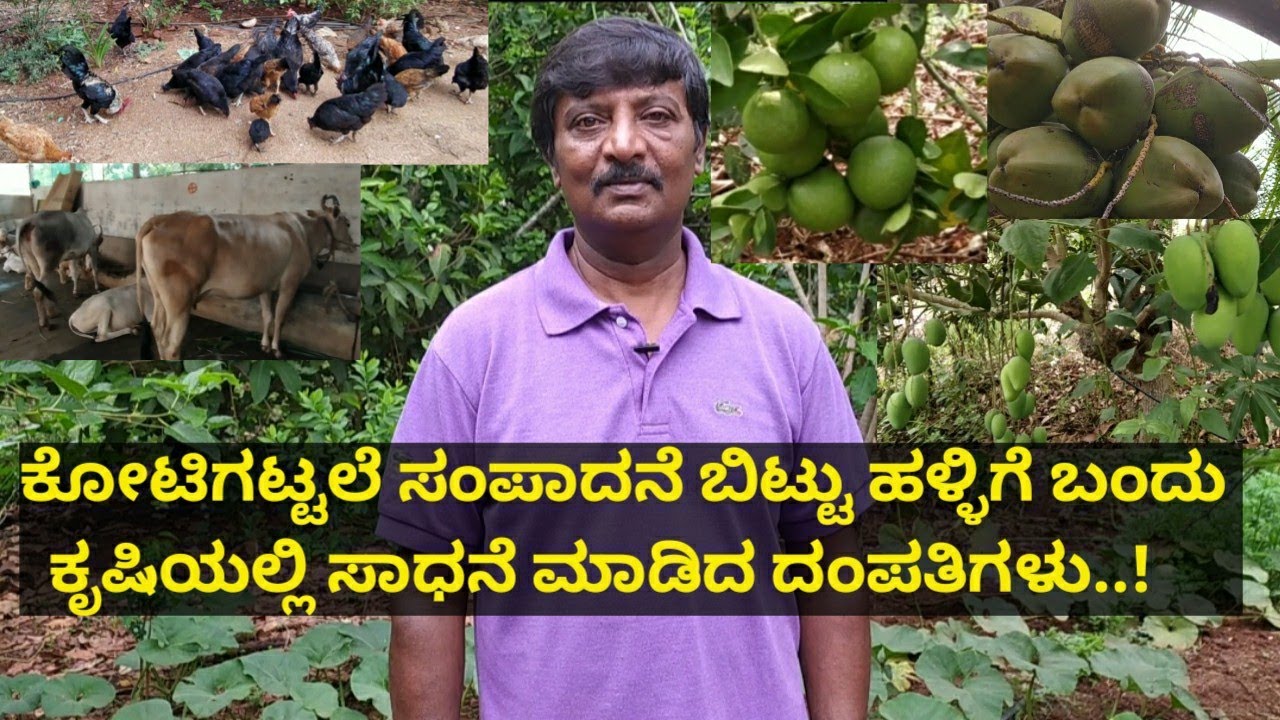 ಕೋಟಿಗಟ್ಟಲೆ ಸಂಪಾದನೆ ಬಿಟ್ಟು ಹಳ್ಳಿಗೆ ಬಂದು ಕೃಷಿಯಲ್ಲಿ ಸಾಧನೆ ಮಾಡಿದ ದಂಪತಿಗಳು..!