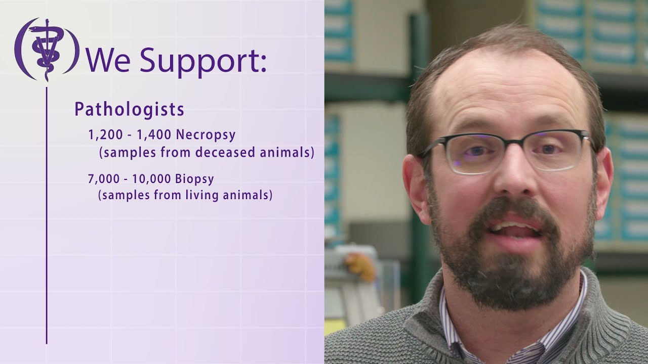 KSVDL Virtual Tour: Histology and Immunohistochemistry (IHC) Laboratory