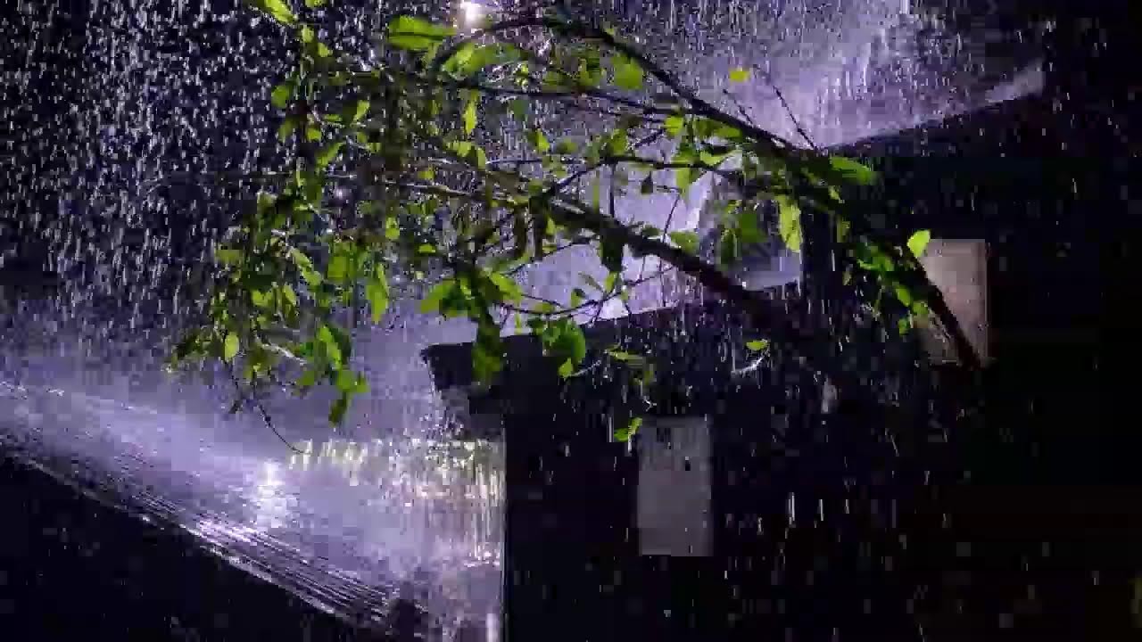 Relaxing Night Rain Sounds 🌙 Tin Roof Ambience
