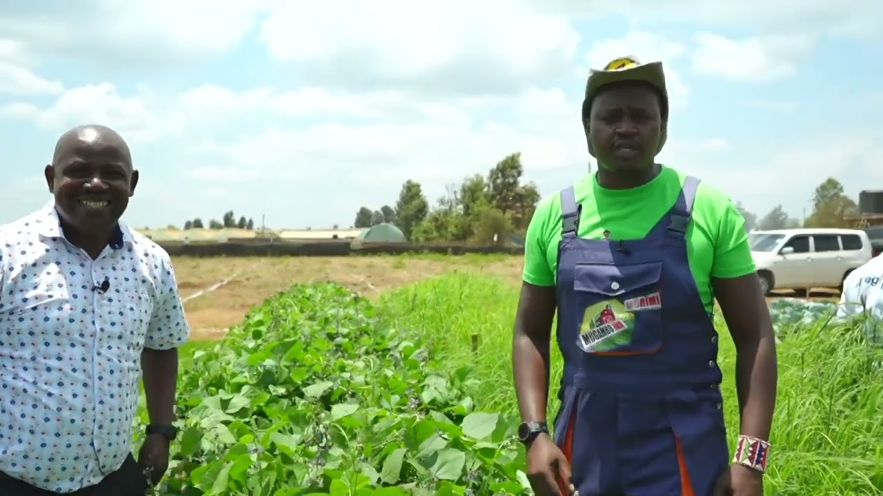 AGITECH EXPO CURTAIN RAISER  DOCUMENTARY PART 2