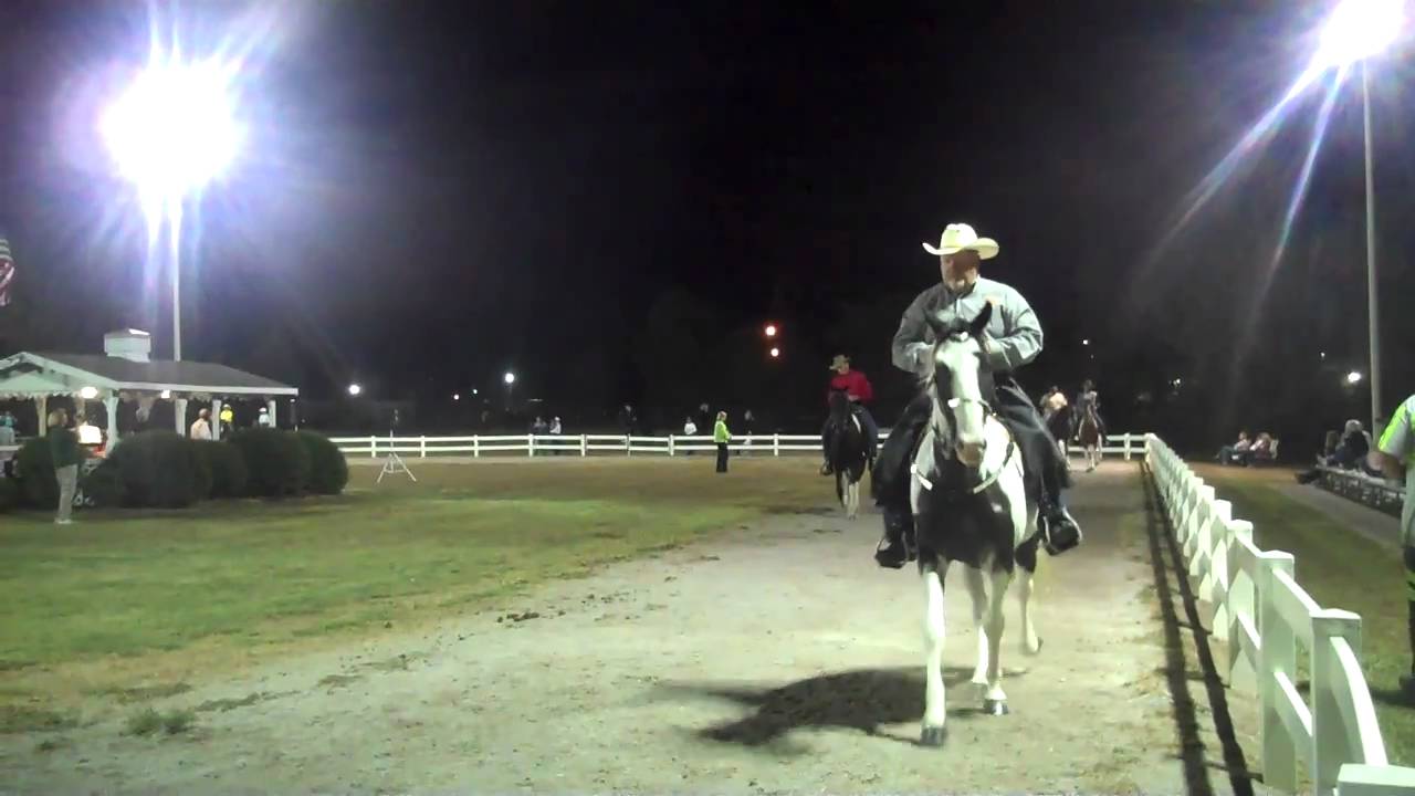 Adult Spotted Saddle Horse Competition-Huntingdon Tn. September 2010