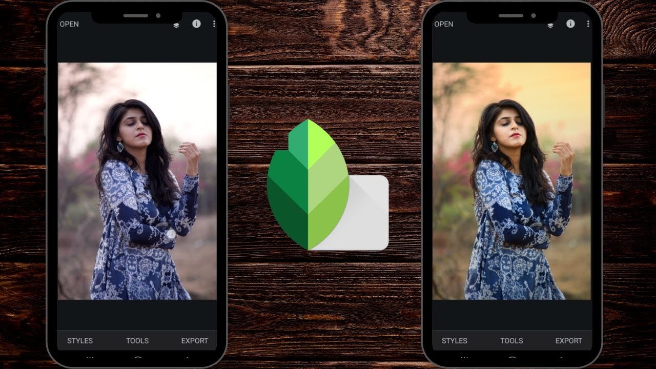 Portrait Editing in Snapseed Using a RAW File