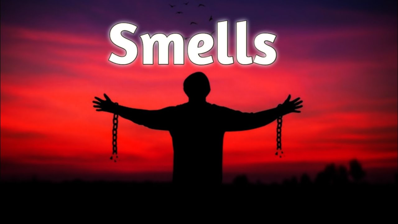 Smells | Acoustic Guitar type beat | Sad Guitar Instrumental | Renvo Beats