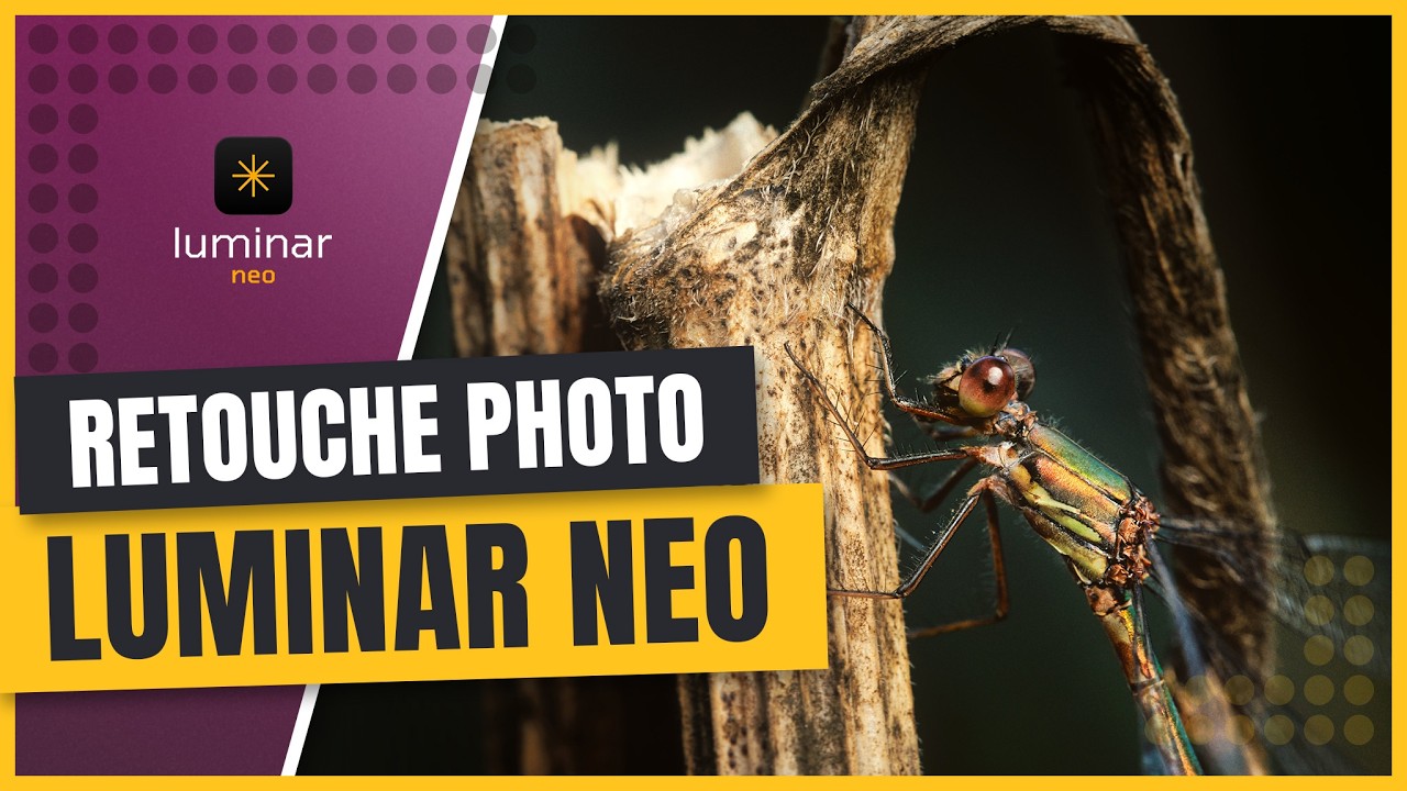 Comment transformer ses photos avec Luminar Neo (tuto Retouche Photo)