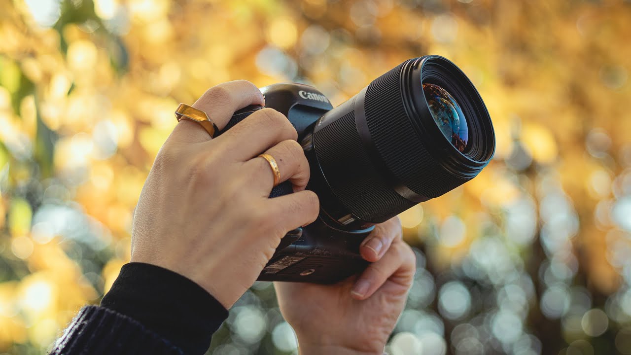 HOW To Improve Your Photography From Home