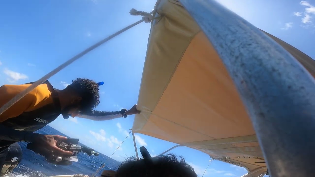 caracol whale shark tour 10