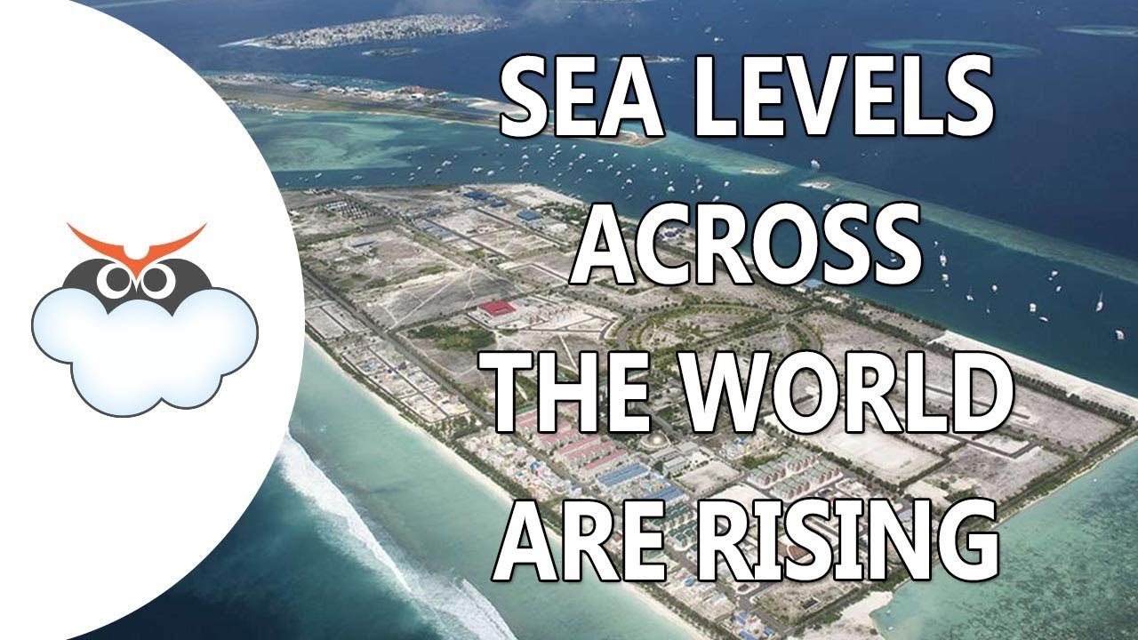 UN Report: Sea levels across the world are rising | Skymet Weather