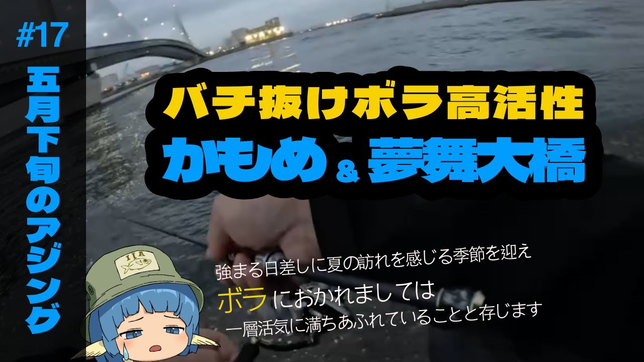 バチ抜けボラ高活性。ボラを避けてアジを釣る！ #17 釣行録 - 5/21～5/31