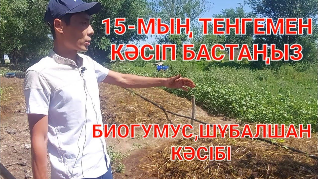 Биогумус,шұбалшан кәсібі Түркістан қаласы.