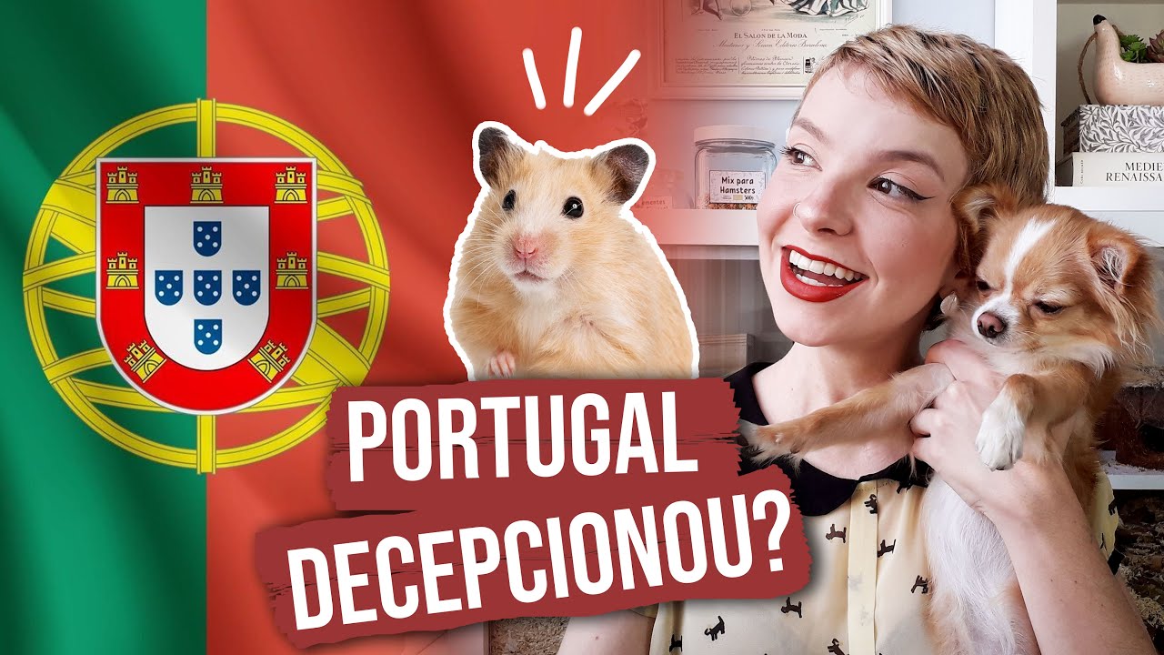 Conhecendo produtos para HAMSTER de pet shop de PORTUGAL