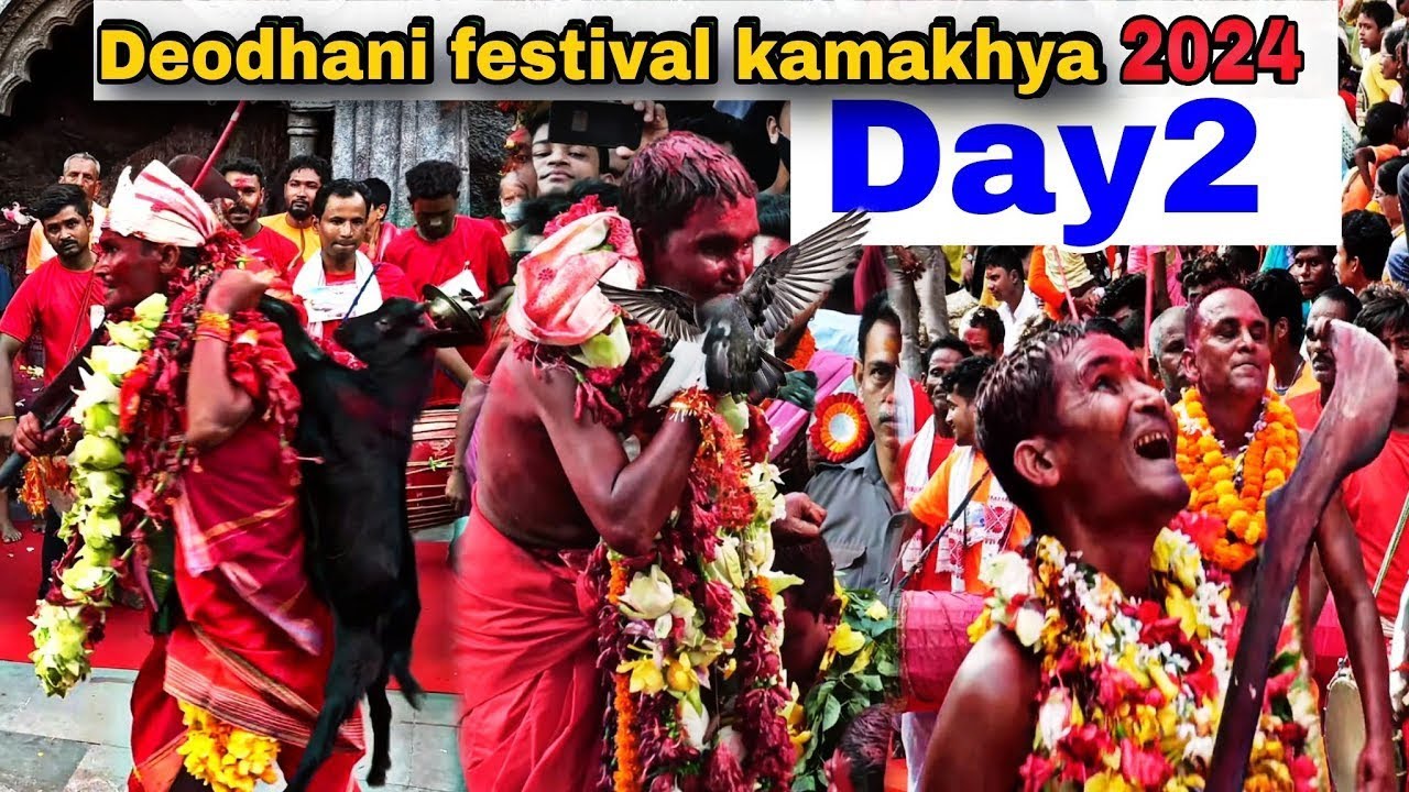 Deodhani Festival Kamakhya | Deodhani festival kamakhya 2024 | Deodhani nritya assam | Manasha Puja