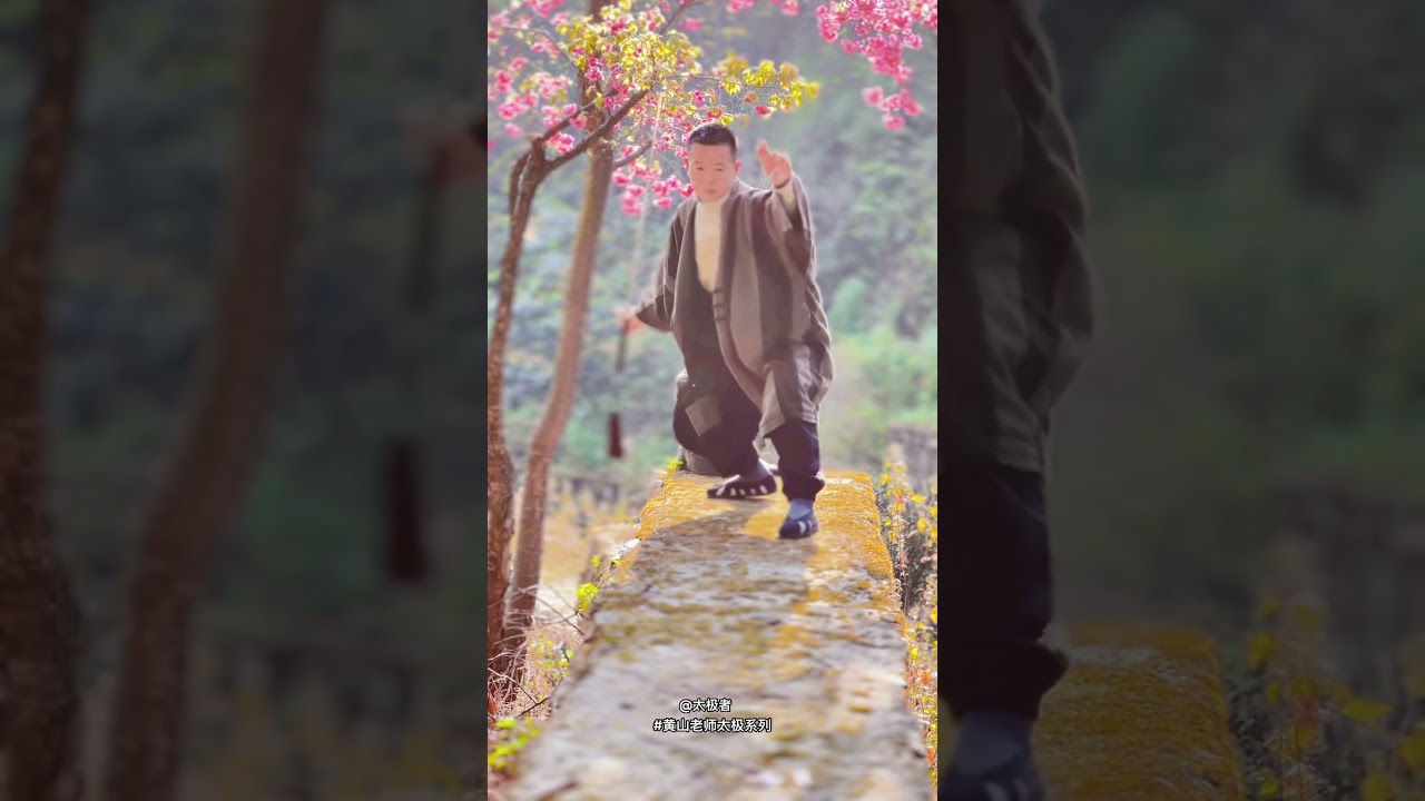 Taiji Sword Movement |太极剑练习之要：柔而不浮，动而不散！以柔蕴刚，劲若缠丝。柔劲如水内敛深藏，动势似云以腰为轴贯周身，步随身换剑意连绵。