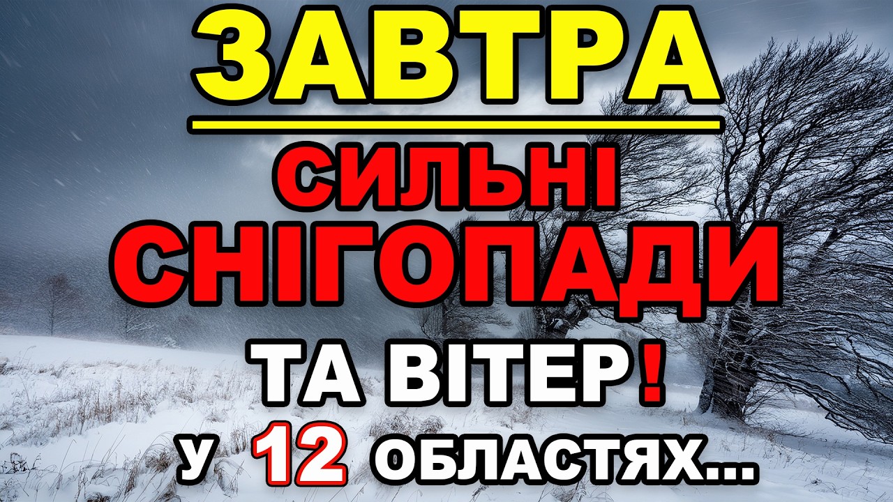 СИЛЬНІ СНІГОПАДИ ТА ВІТЕР?! Прогноз погоди на 25 ЛЮТОГО