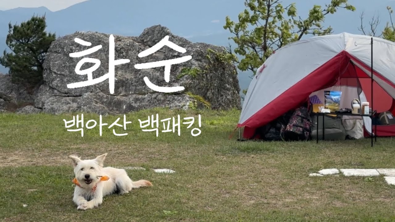 강아지랑 백패킹 | 그레랑 전남 화순 백아산 첫 백패킹하고 왔어요🤍 | 핫앤쿡 처음 먹어봄 | 우중 백패킹🏕️ #강아지랑백패킹