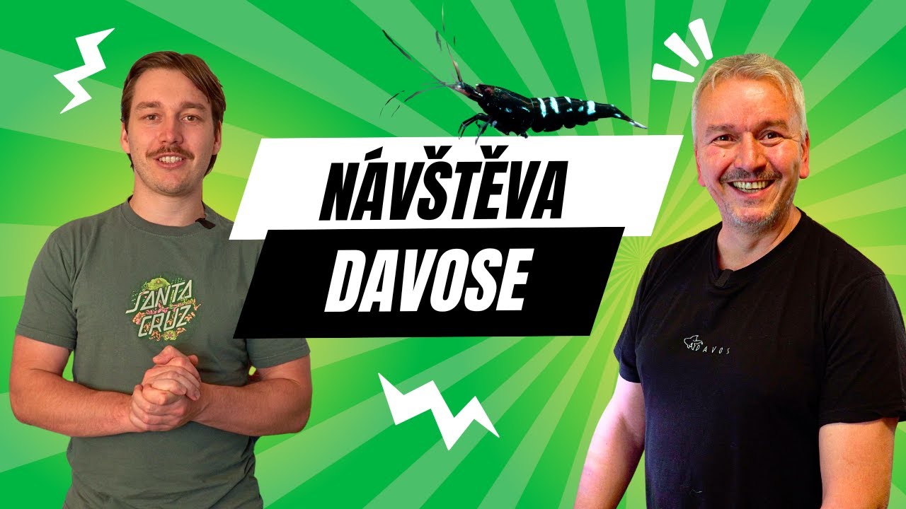 Jel jsem přes celou Republiku za Davidem, abych se podíval na jeho akvária.