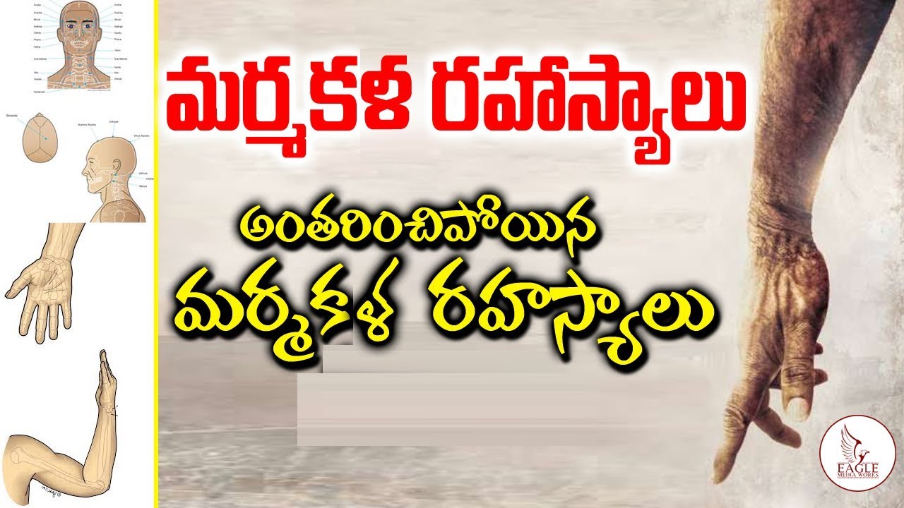 అంతరించిపోతున్న ఈ మర్మ  కళ గురించి తెలుసుకొంటే షోకే అవుతారు.?| Eagle Media Works