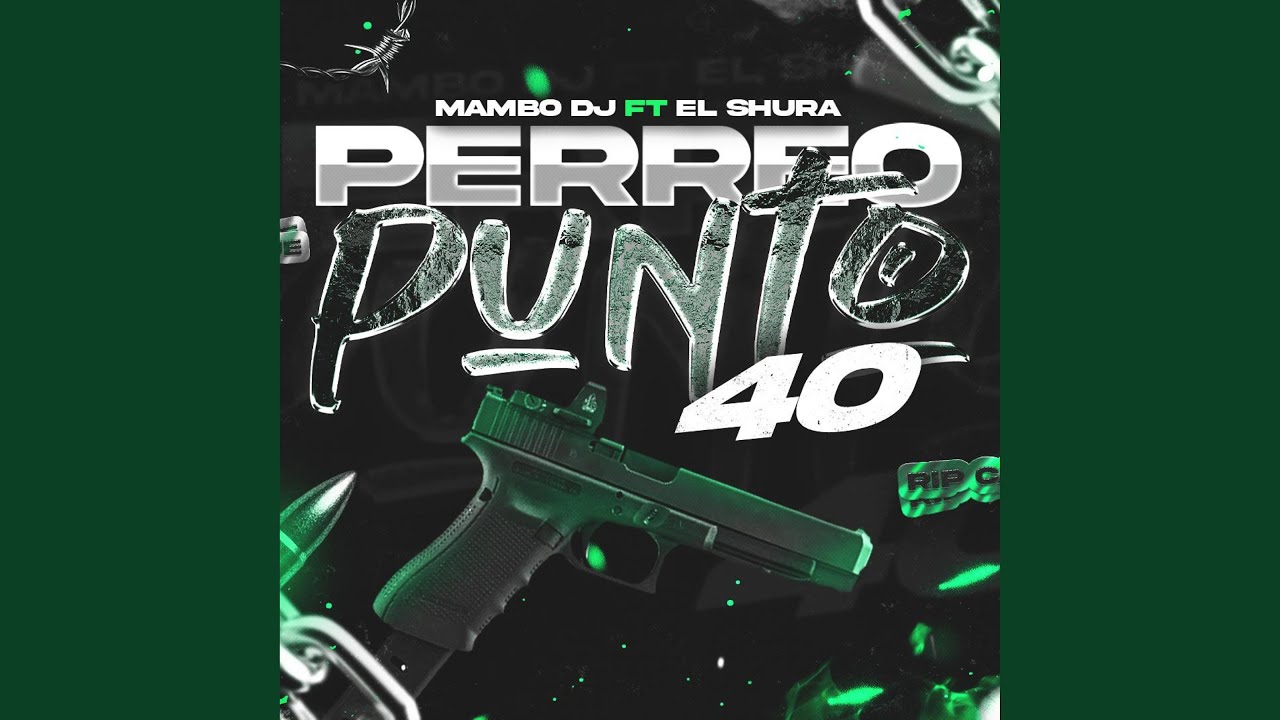 PERREO PUNTO 40