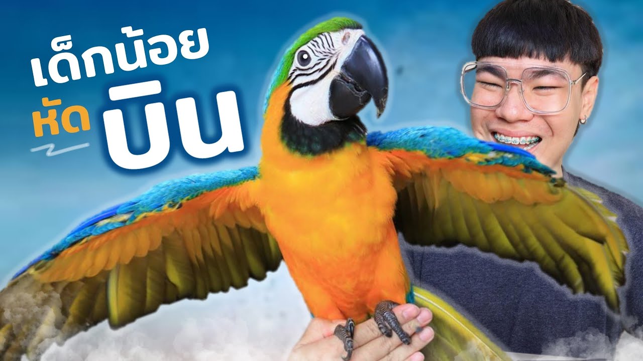พาเด็กน้อยไปหัดบิน | ผมบินได้แล้ว!!