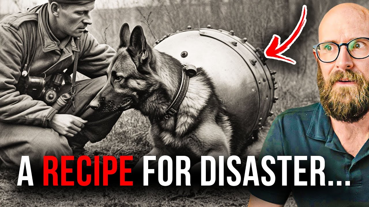 5 странных военных изобретений, которые НЕ сработали