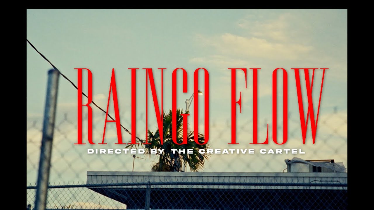 DaRainGo - RainGo Flow