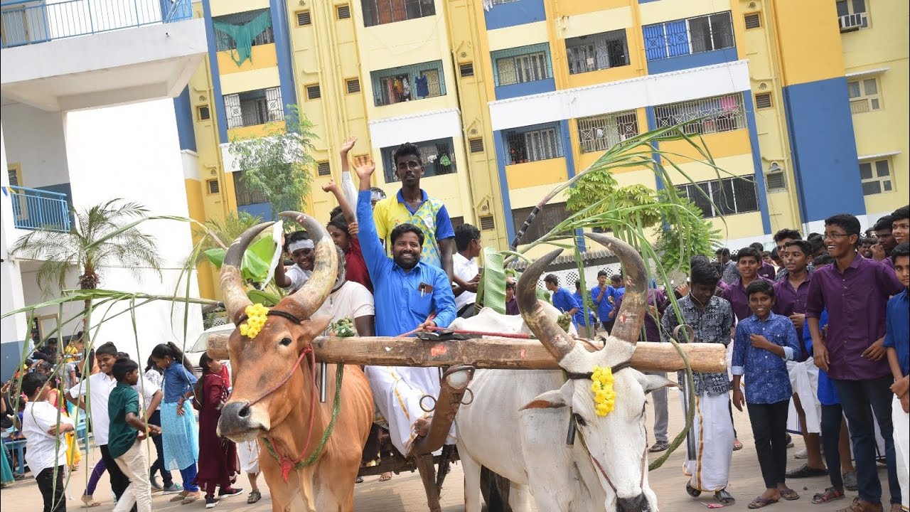 Pongal Grand Celebration in DHANALAKSHMI SRINIVASAN MATRIC HR SEC SCHOOL WORAIYUR,TRICHY- 620003
