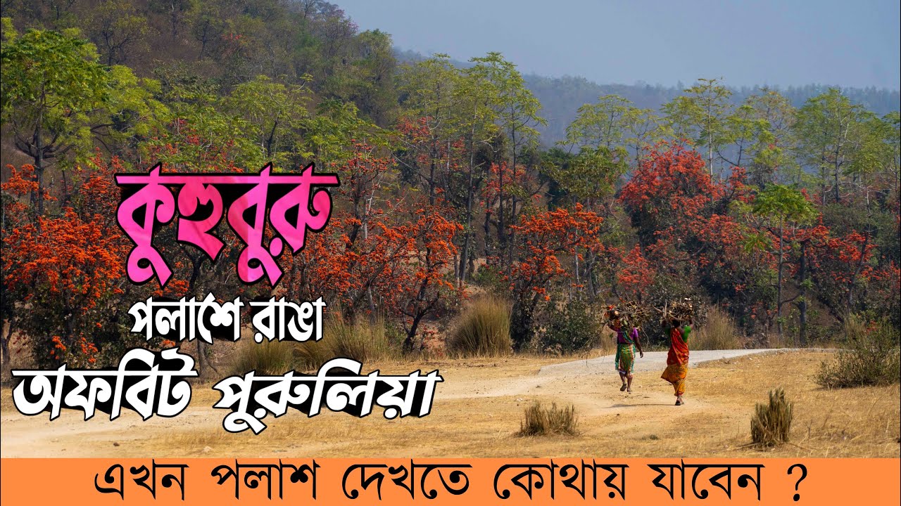Kuhuburu - Offbeat Purulia tour guide | Purulia tour by car | Purulia tour 2023