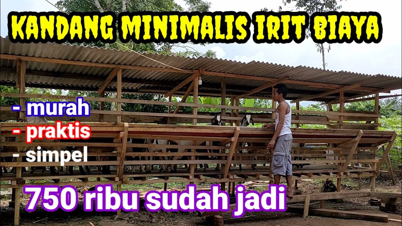 KANDANG KAMBING TERMURAH
