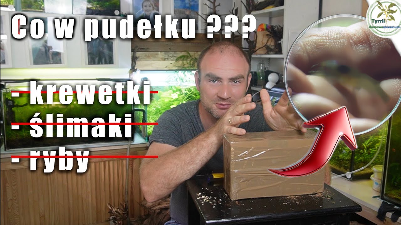 Tego jeszcze u mnie nie było :).#akwarium #akwarystyka #akwariumroślinne