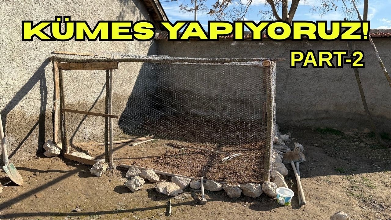 TAVUKLARIMIZA KÜMES YAPIYORUZ PART 2! BUĞDAY VE ARPA ÇİMLENDİRECEĞİZ!