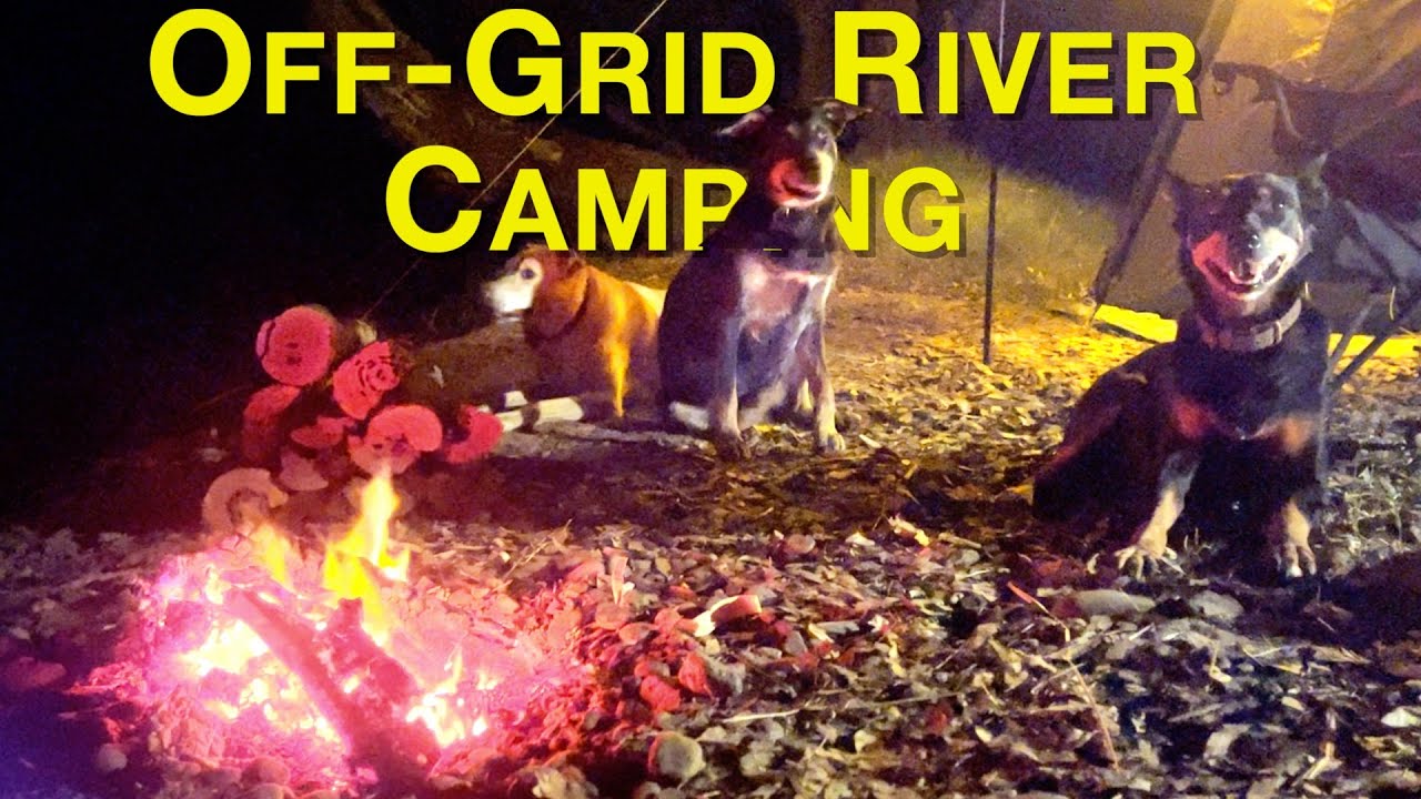 Peaceful River Vibes, Dogs & Campfires | Off-Grid Camping on the Murray River