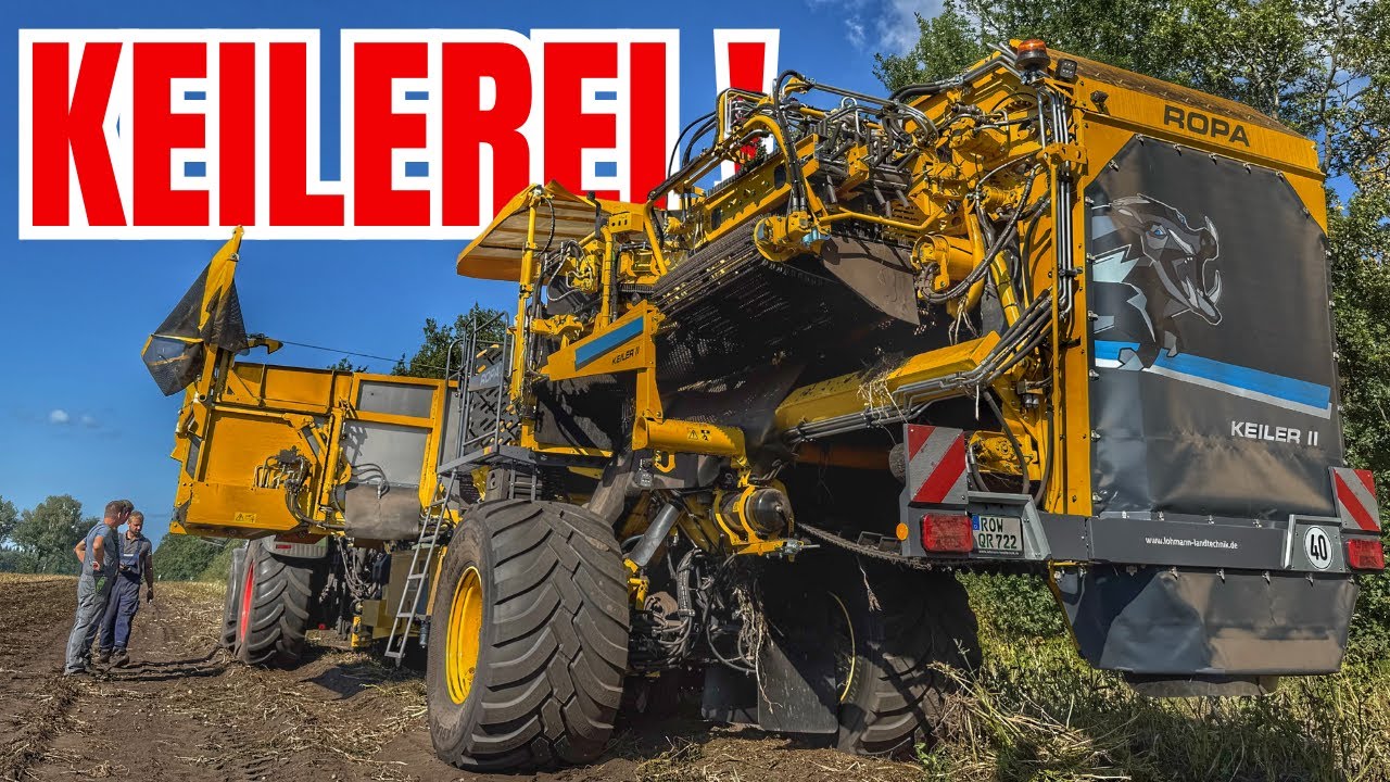 Gei*er Keiler 🐗 in den Kartoffeln 😅 | Wir nehmen euch mit Packware liefern 🤝🥔 (VLOG 542)