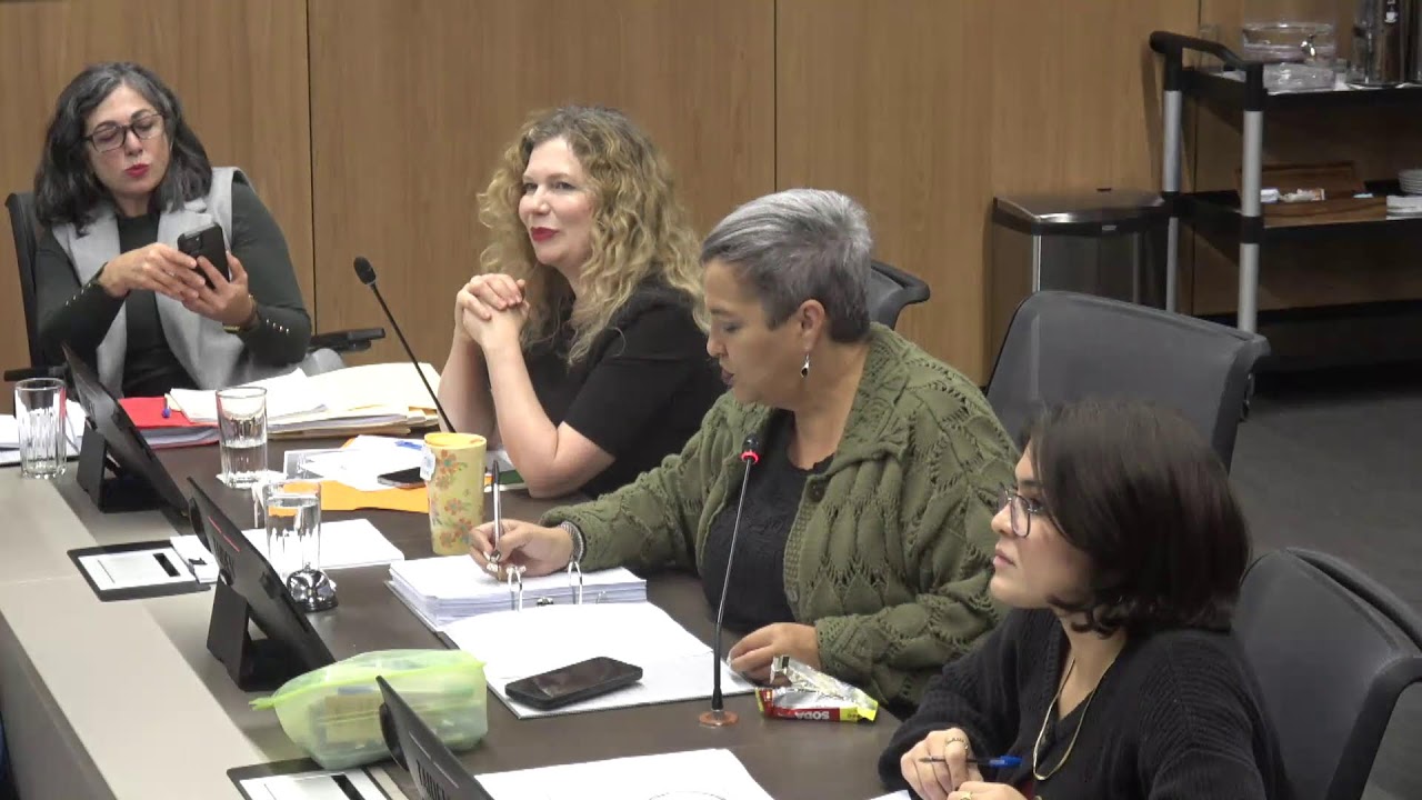 Comisión Permanente Especial de la Mujer, 18 febrero 2026