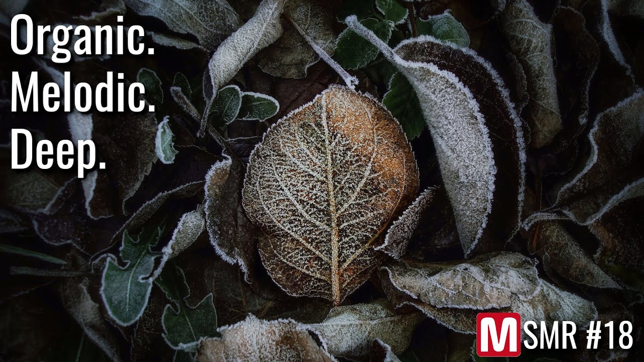 Winter 2023 Organic House Mix - MSMR018 with Manuel Jaschok b2b Rafael Silesia